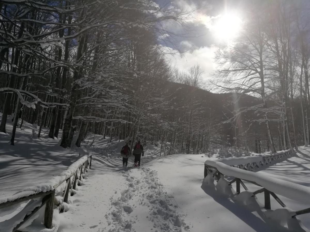 B&B Il Buon Cammino Roccamandolfi エクステリア 写真
