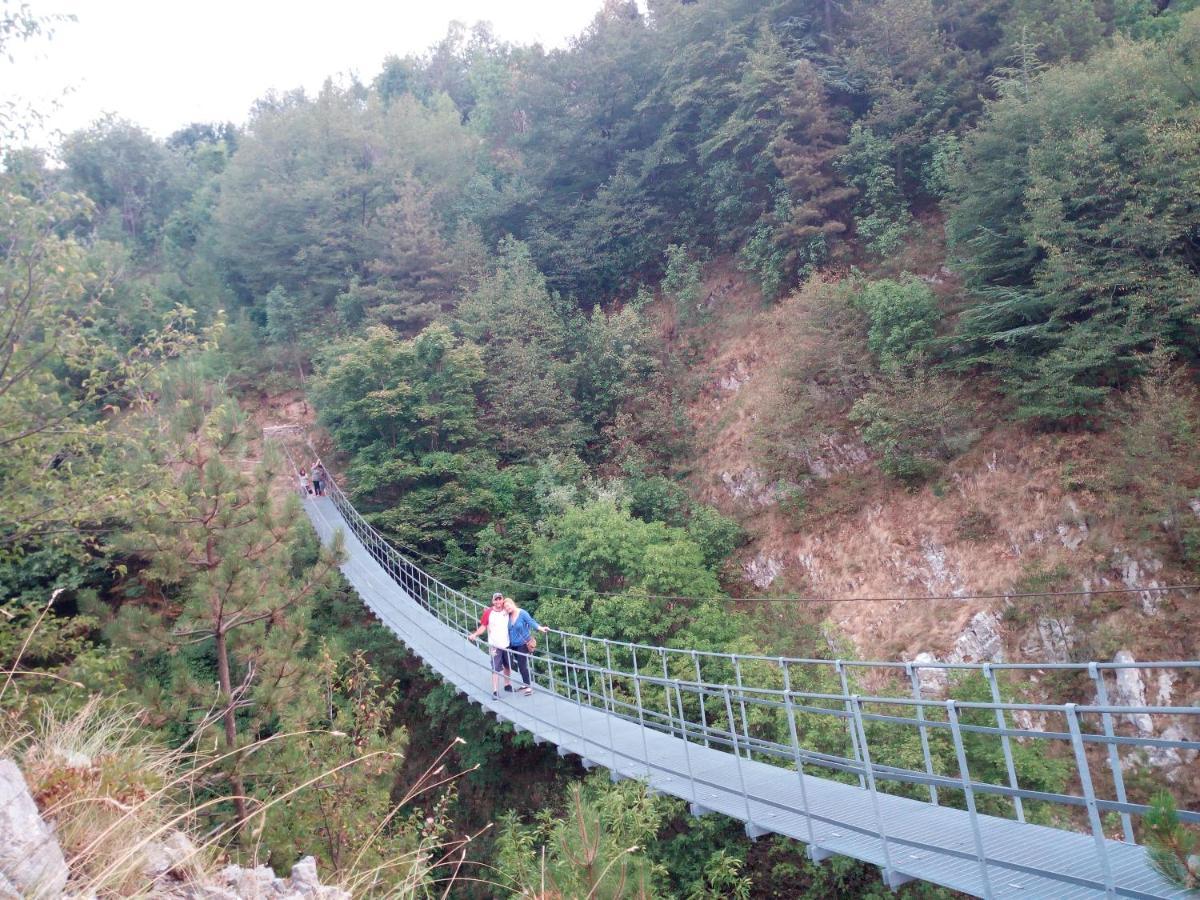 B&B Il Buon Cammino Roccamandolfi エクステリア 写真